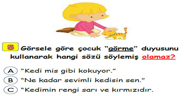 3. Sınıf Fen Bilimleri Beş Duyumuz Yaprak Test