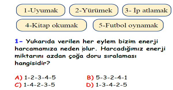 4. Sınıf Fen Bilimleri Besinlerimiz Yaprak Test-2