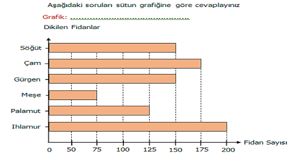 4. Sınıf Matematik Verilerin Farklı Gösterimleri Etkinliği 4 (Çetele Tablosu, Sıklık Tablosu, Sütun ve Nesne Grafiği)