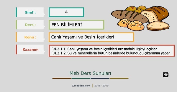 4. Sınıf Fen Bilimleri Canlı Yaşamı ve Besin İçerikleri Sunusu
