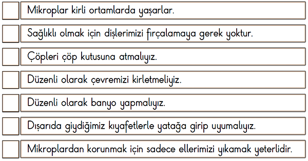 2. Sınıf Hayat Bilgisi Kendimizi ve Çevremizi Temiz Tutalım Etkinliği