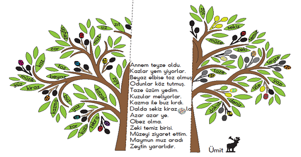 1. Sınıf İlk Okuma Yazma (Z-z Sesi) Zeytin Ağacı Katla-Oku Etkinliği
