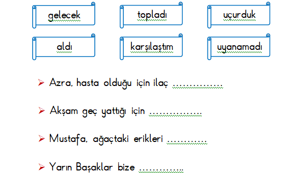 1. Sınıf Türkçe Cümle Çalışması Etkinliği
