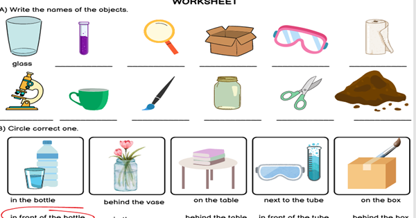 4. Sınıf 6.Ünite Fun With Science Çalışma Kağıdı