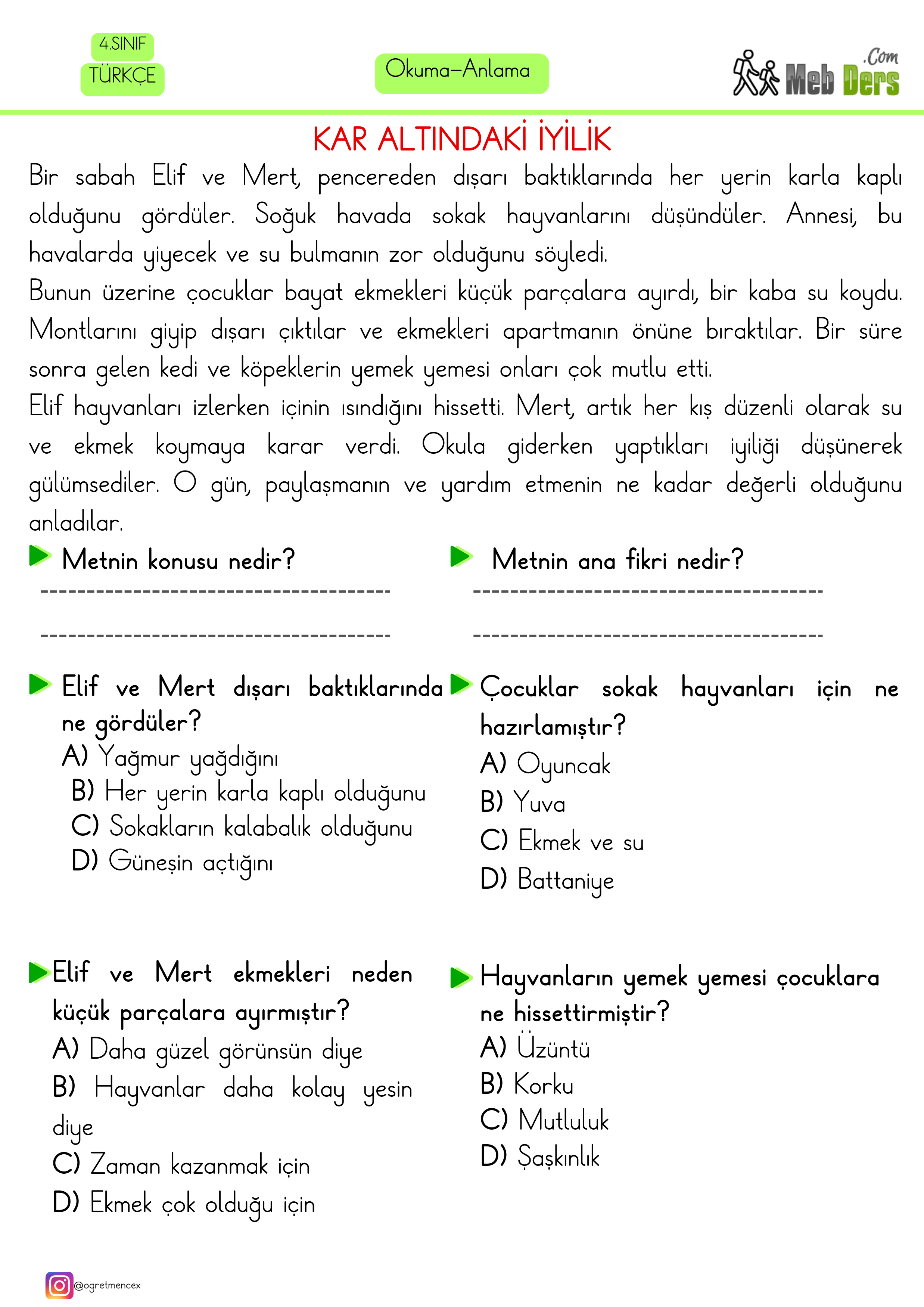 4. Sınıf Türkçe Okuduğunu Anlama Çalışması