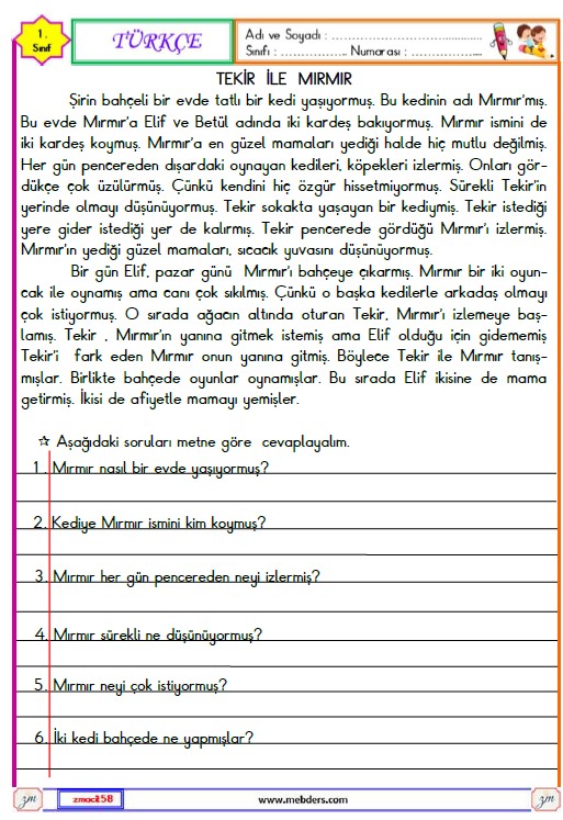 2. Sınıf Türkçe Okuma ve Anlama Metni Etkinliği (Tekir ile Mırmır) 27