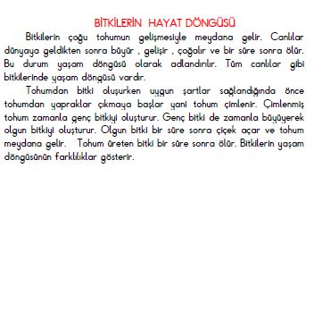 3. Sınıf Fen Bilimleri  Bitkilerin Hayat Döngüsü Konu Özeti