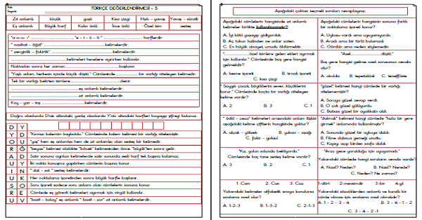 3. Sınıf Türkçe Değerlendirmesi-5