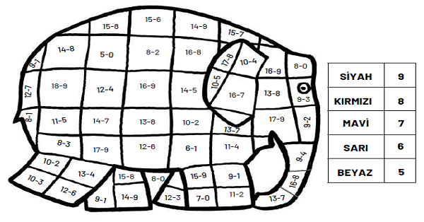 1. Sınıf Matematik Çıkarma İşlemi (Fil Boyamalı)