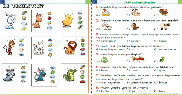 1. Sınıf Hayat Bilgisi Çevremizdeki Hayvanlar Konu Anlatımı ve Etkinlikleri