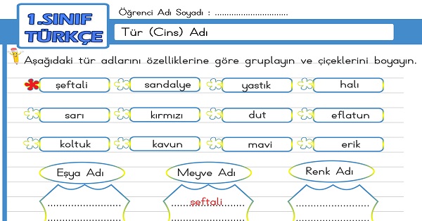 1. Sınıf Türkçe Tür (Cins) Adı Etkinliği