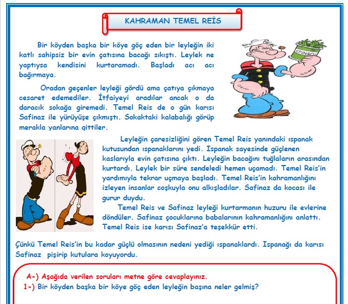 2. Sınıf Türkçe Kahraman Temel Reis Okuma Anlama Metin Çalışması