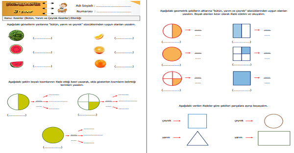 3. Sınıf Matematik Kesirler (Bütün, Yarım ve Çeyrek Kesirler) Etkinliği 3