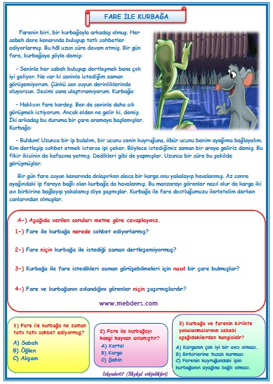 2. Sınıf Türkçe Fare ile Kurbağa Okuma Anlama Metin Çalışması 5