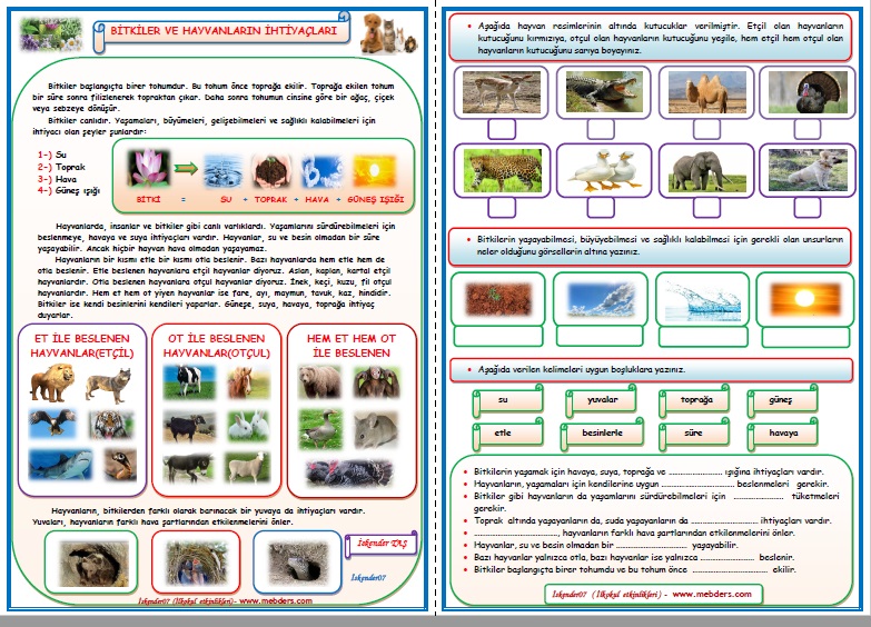 2. Sınıf Hayat Bilgisi Bitkiler ve Hayvanların İhtiyaçları