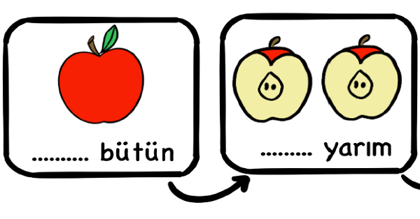1. Sınıf Matematik Kesirler (Bütün - Yarım) Etkinliği