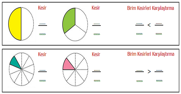 4. Sınıf Matematik Kesirler (Birim Kesirleri Karşılaştırma ve Sıralama) Etkinliği 1