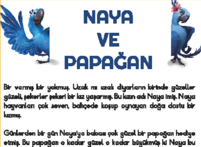 2. Sınıf Türkçe Okuma Anlama (Naya ve Papağan) Etkinliği