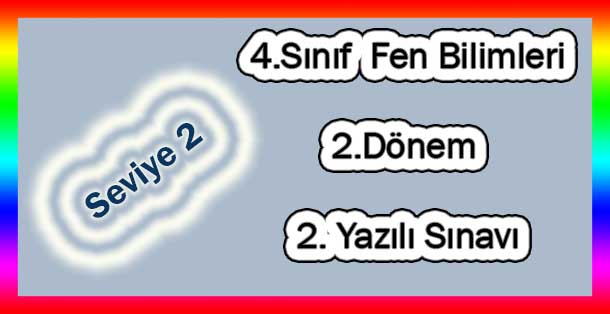 4. Sınıf Fen Bilimleri 2.Dönem 2.Yazılı Sınavı (Seviye 2)