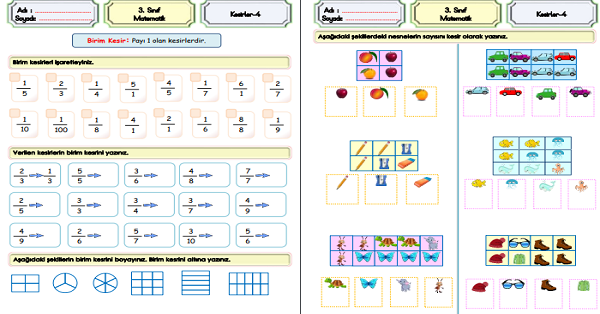 3. Sınıf Matematik Kesirler (Birim Kesir)-4