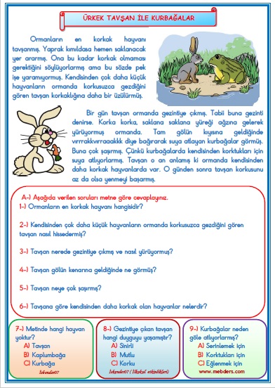 1. Sınıf Türkçe Ürkek Tavşan ile Kurbağalar Okuma Anlama Metin Çalışması 29