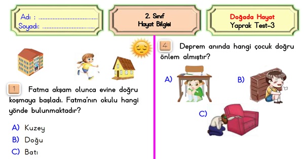 2. Sınıf Hayat Bilgisi Doğada Hayat-Yaprak Test-3