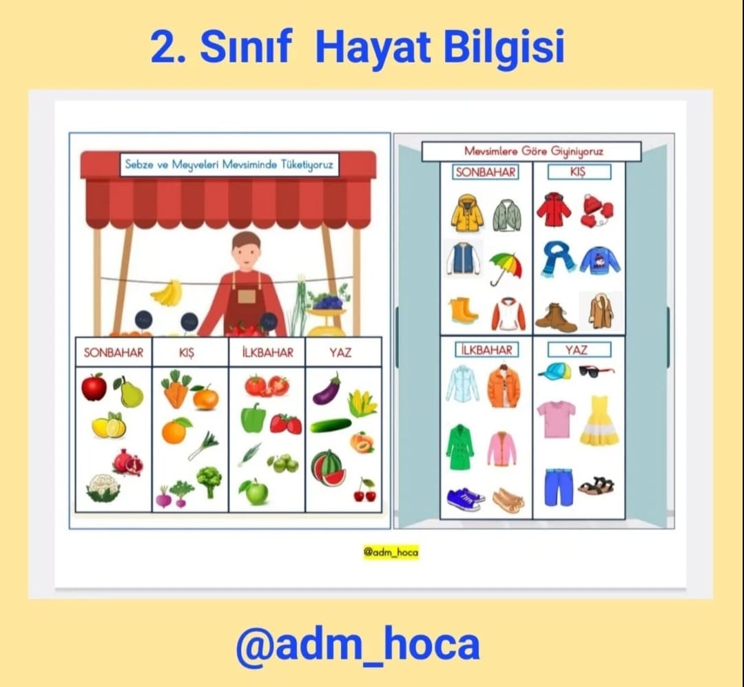 2. Sınıf Hayat Bilgisi Mevsimine Göre Sebze, Meyve ve Giysiler