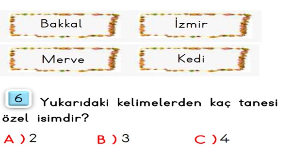 2. Sınıf Türkçe Özel İsimler-Test-1
