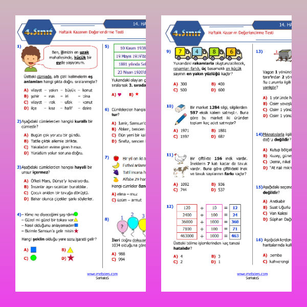 4. Sınıf Haftalık Değerlendirme Testi - 14. Hafta