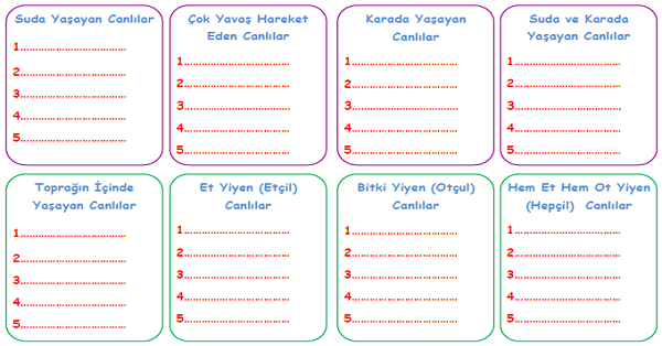 3. Sınıf Fen Bilimleri Canlılar Dünyasına Yolculuk Etkinlikleri