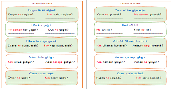 1. Sınıf Türkçe Oku Anla Cevapla 5N 1K