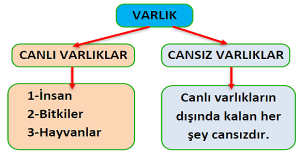 3. Sınıf Fen Bilimleri Canlılar Dünyasına Yolculuk Konu Özeti