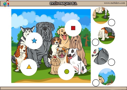 Sevimli köpeklerdeki eksik parçayı bulma etkinliği