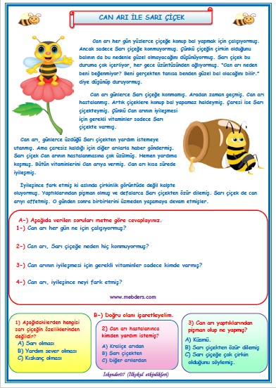 2. Sınıf Türkçe Can Arı ile Sarı Çiçek Okuma Anlama Metin Çalışması 29