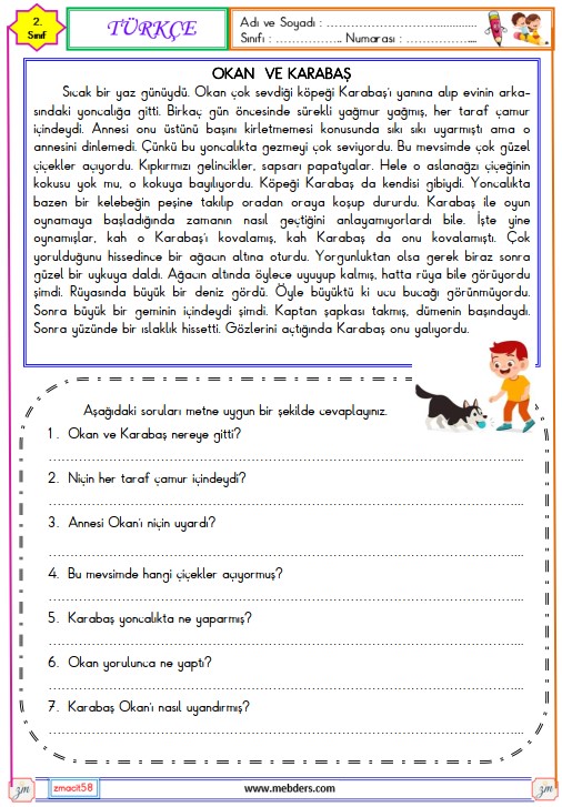 2. Sınıf Türkçe Okuma ve Anlama Metni Etkinliği (Okan ve Karabaş)