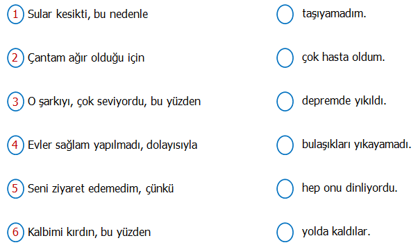 3. Sınıf Türkçe Sebep Sonuç İfadesi Bildiren Cümleler Etkinliği 2