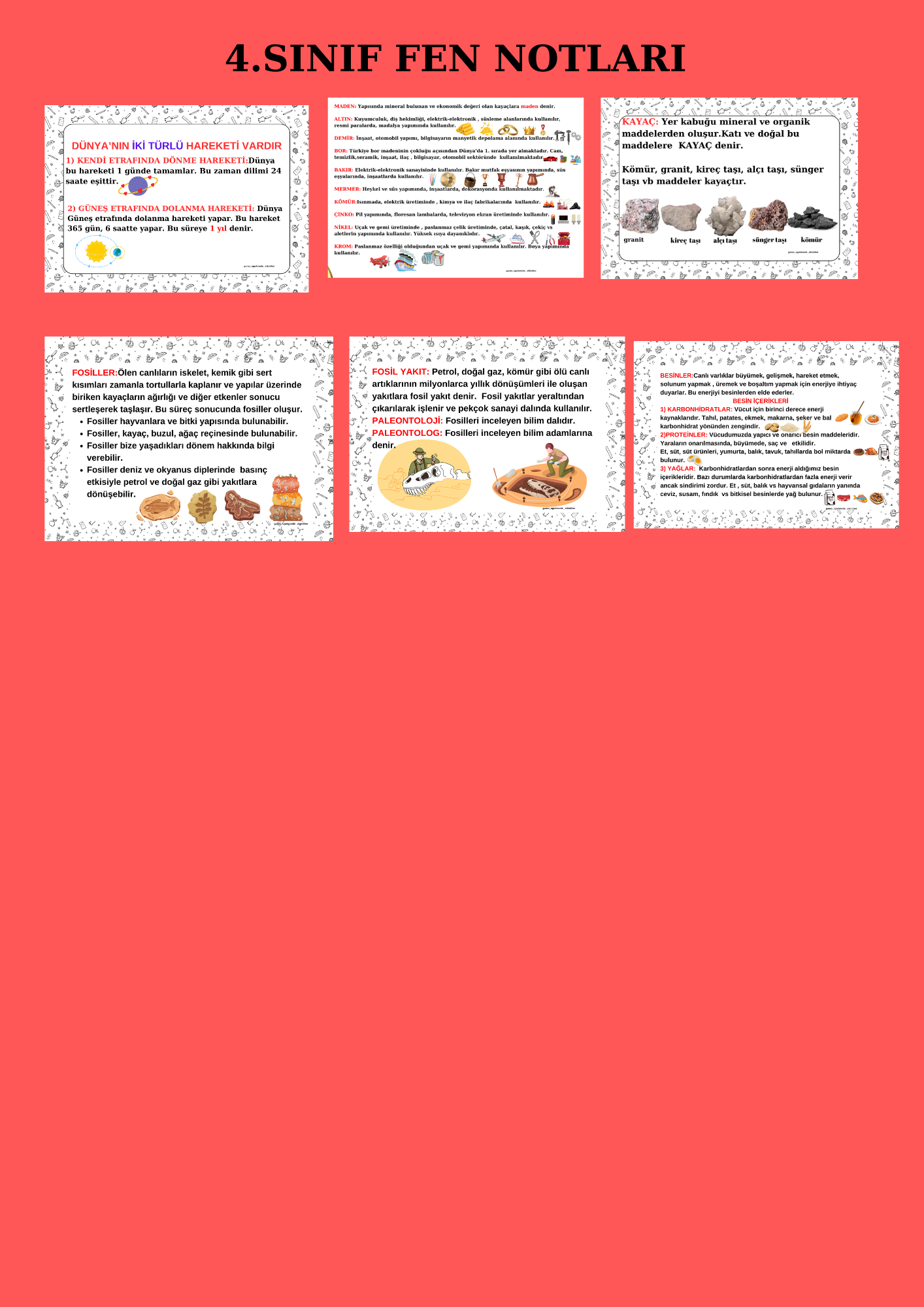 4. Sınıf Fen Bilimleri Notları