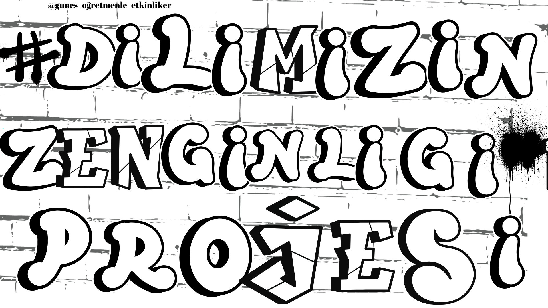 Dilimizin Zenginlikleri Grafiti Çalışması