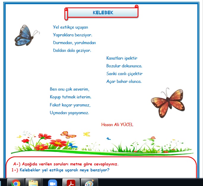 2. Sınıf Türkçe Kelebek Okuma Anlama Metin Çalışması
