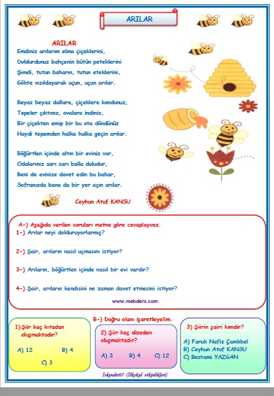 2. Sınıf Türkçe Arılar Okuma Anlama Metin Çalışması 20