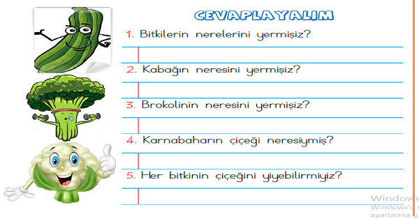 1. Sınıf Türkçe Okuyalım Anlayalım (Sebzeler) Metni