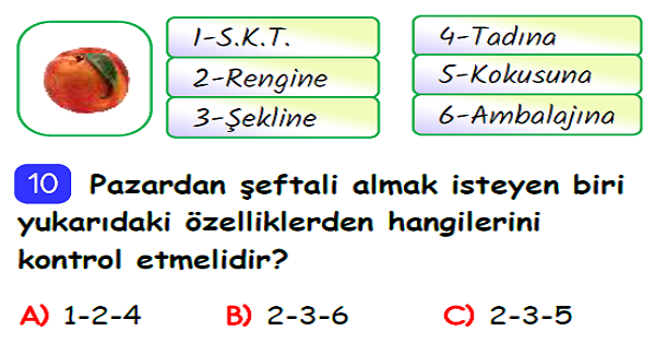 3. Sınıf Hayat Bilgisi Sağlıklı Hayat Ünite Değerlendirmesi-1