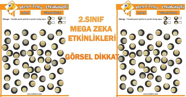 2. Sınıf Mega Zeka Etkinliği - Görsel Dikkat