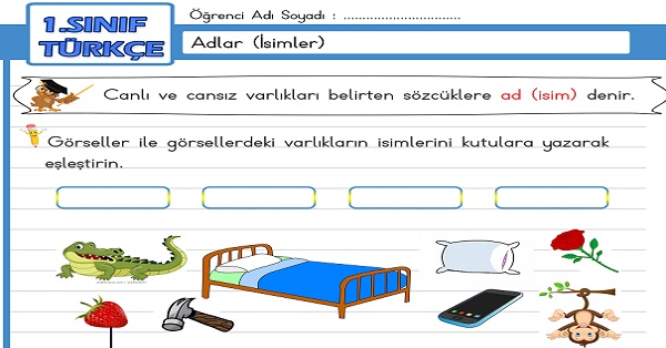 1. Sınıf Türkçe Adlar (İsimler) Etkinliği