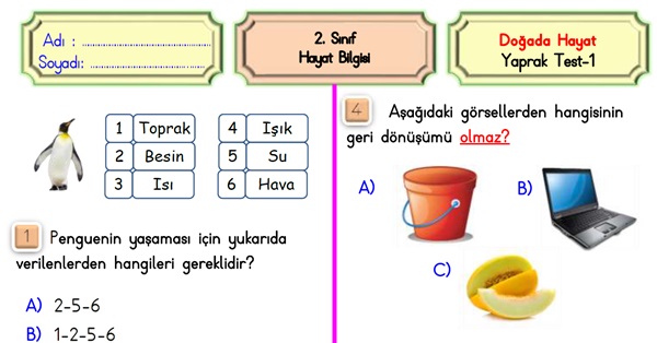 2. Sınıf Hayat Bilgisi Doğada Hayat-Yaprak Test-1