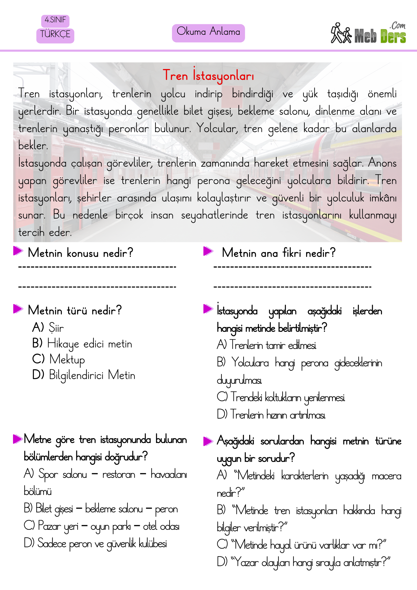 4. Sınıf Türkçe Okuduğunu Anlama Çalışması 2