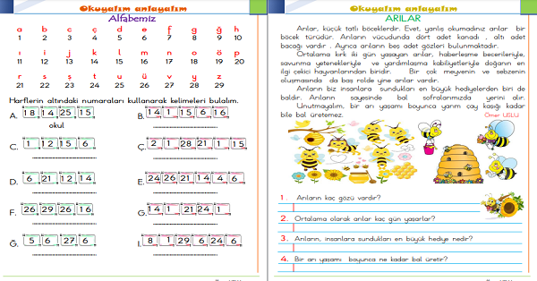 1. Sınıf Türkçe Okuyalım-Anlayalım-Cevaplayalım (Arılar) Metni
