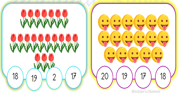 1. Sınıf Matematik Nesne Sayılarını Yazma Etkinliği 3