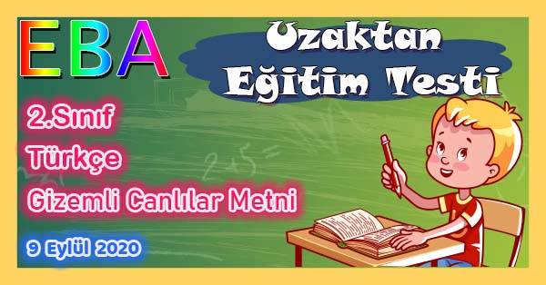 2. Sınıf Türkçe Gizemli Canlılar Metni Uzaktan Eğitim Testi pdf