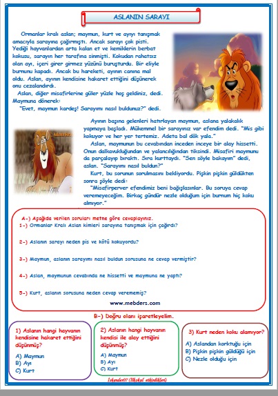 2. Sınıf Türkçe Aslanın Sarayı Okuma Anlama Metin Çalışması 15